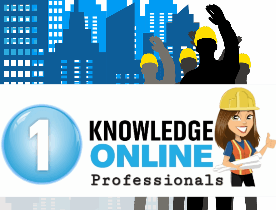 ©1KnowledgeProService
